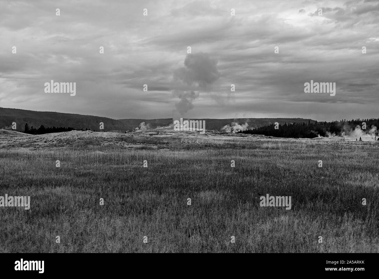 Cold day, grassy fields with erupting geyser and mountains beyond under cloudy skies. Stock Photo