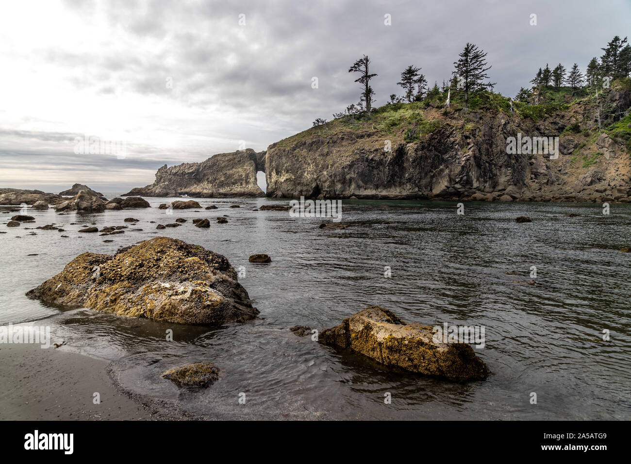 National park Olympic Forks and second beach La push Stock Photo Alamy