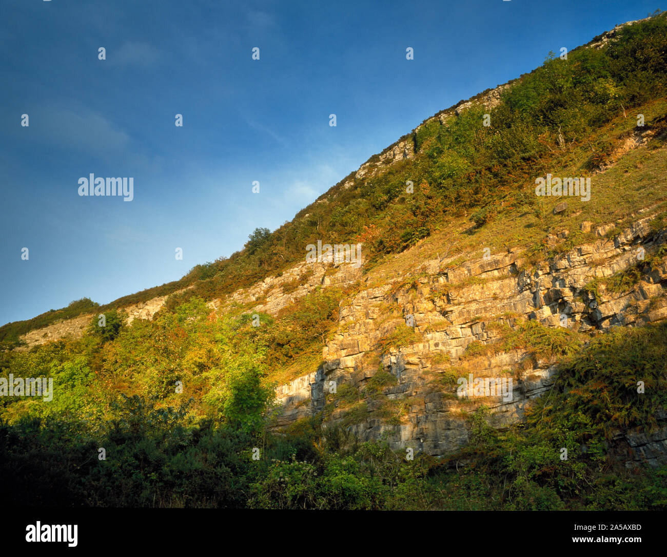 Manor Quarry, Prestatyn Hillside, Prestatyn, Denbighshire, North Wales. Carboniferous limestone escarpment becoming overgrown by scrub & trees Stock Photo