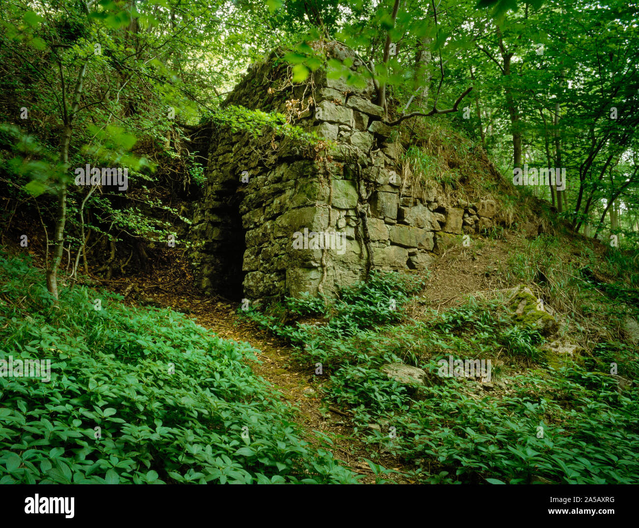 Ruined limekiln in Coed Henblas, Graigfechan, Denbighshire, Wales, UK. mixed woodland containing the remains of 19th century limestone quarrying Stock Photo