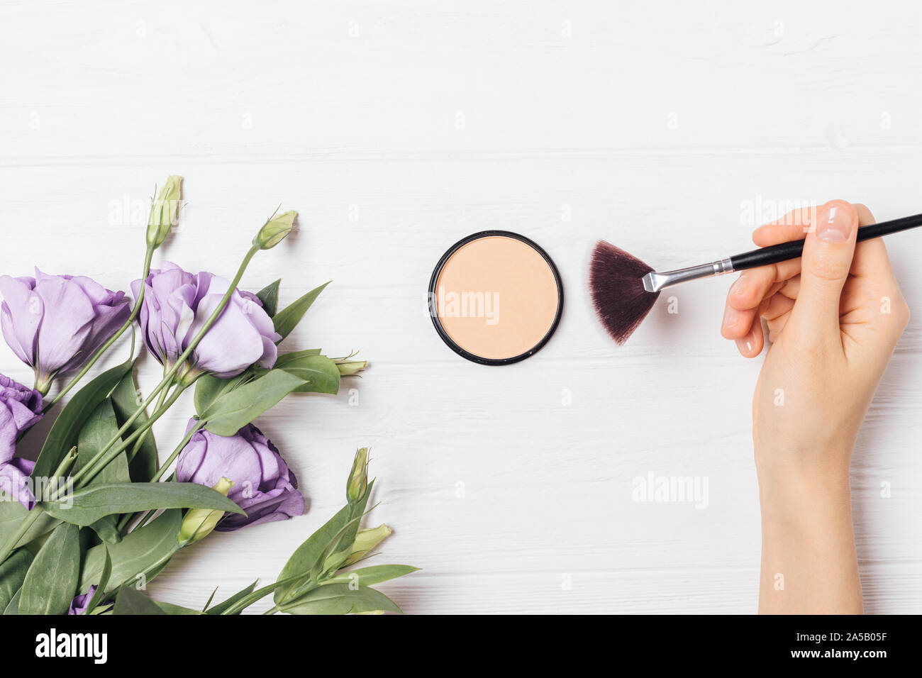 Female hand holding makeup brush using pressed powder on white background with purple lisianthus flowers, flat lay composition. Stock Photo