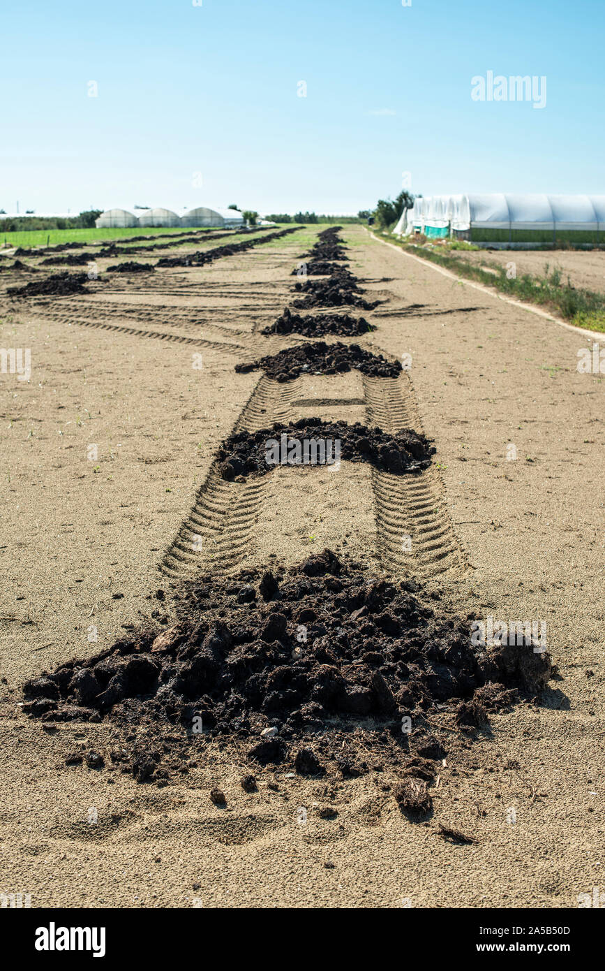 Natural fertilizer in agricultural land scattered on piles. Soil