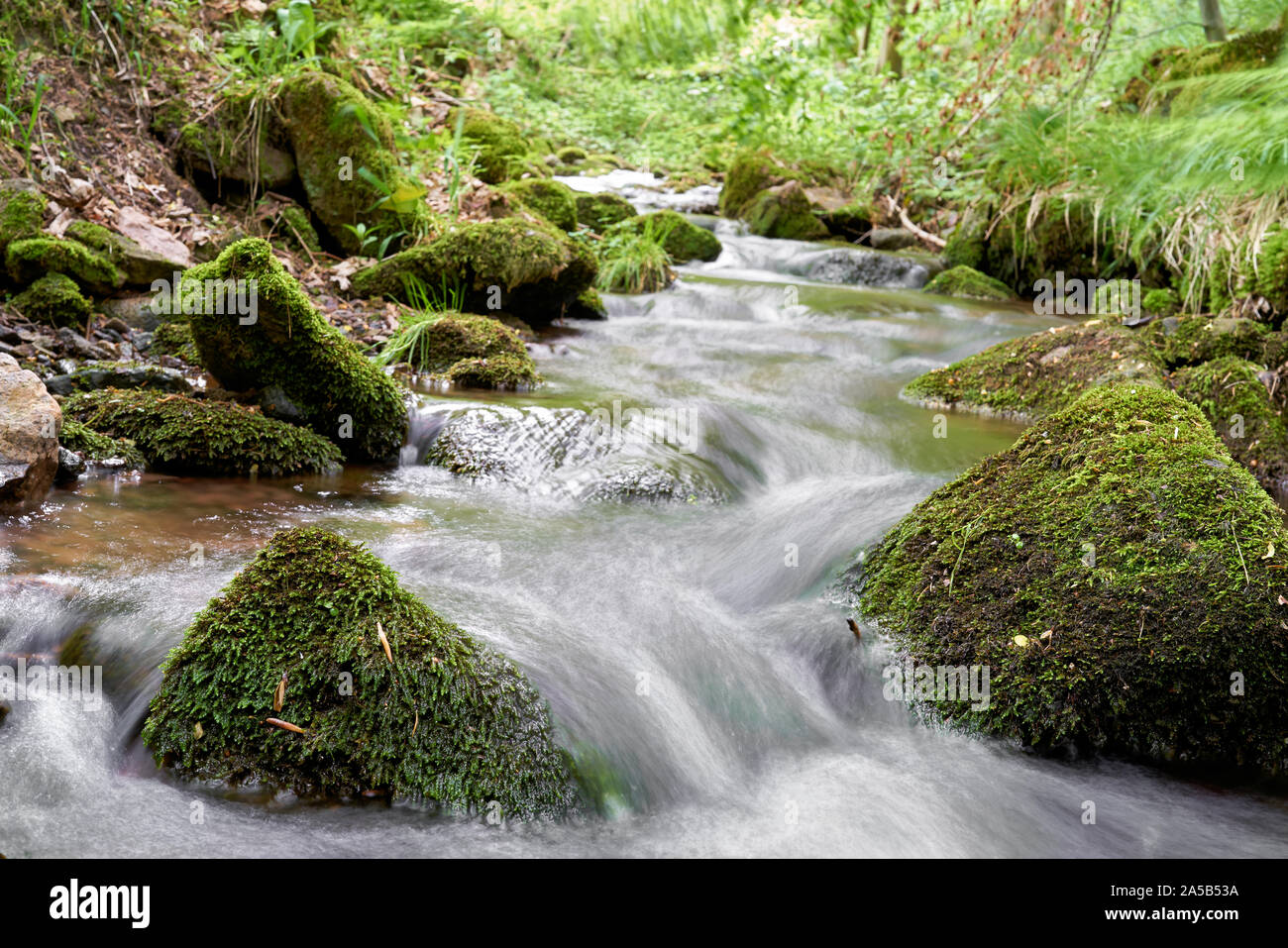 Mountain stream in the Thuringian Forest at Friedrichsroda in Germany Stock Photo