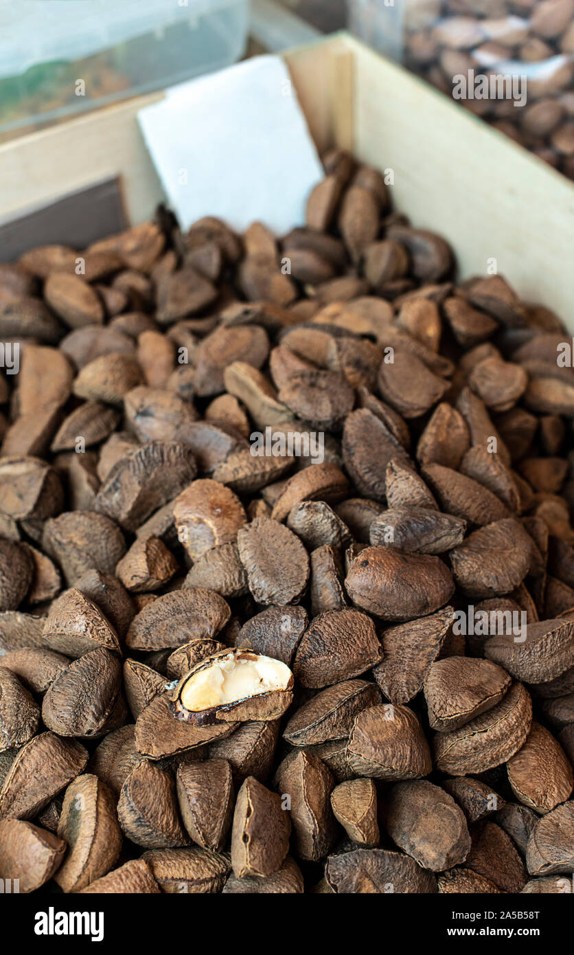 brazil nuts in shells to buy