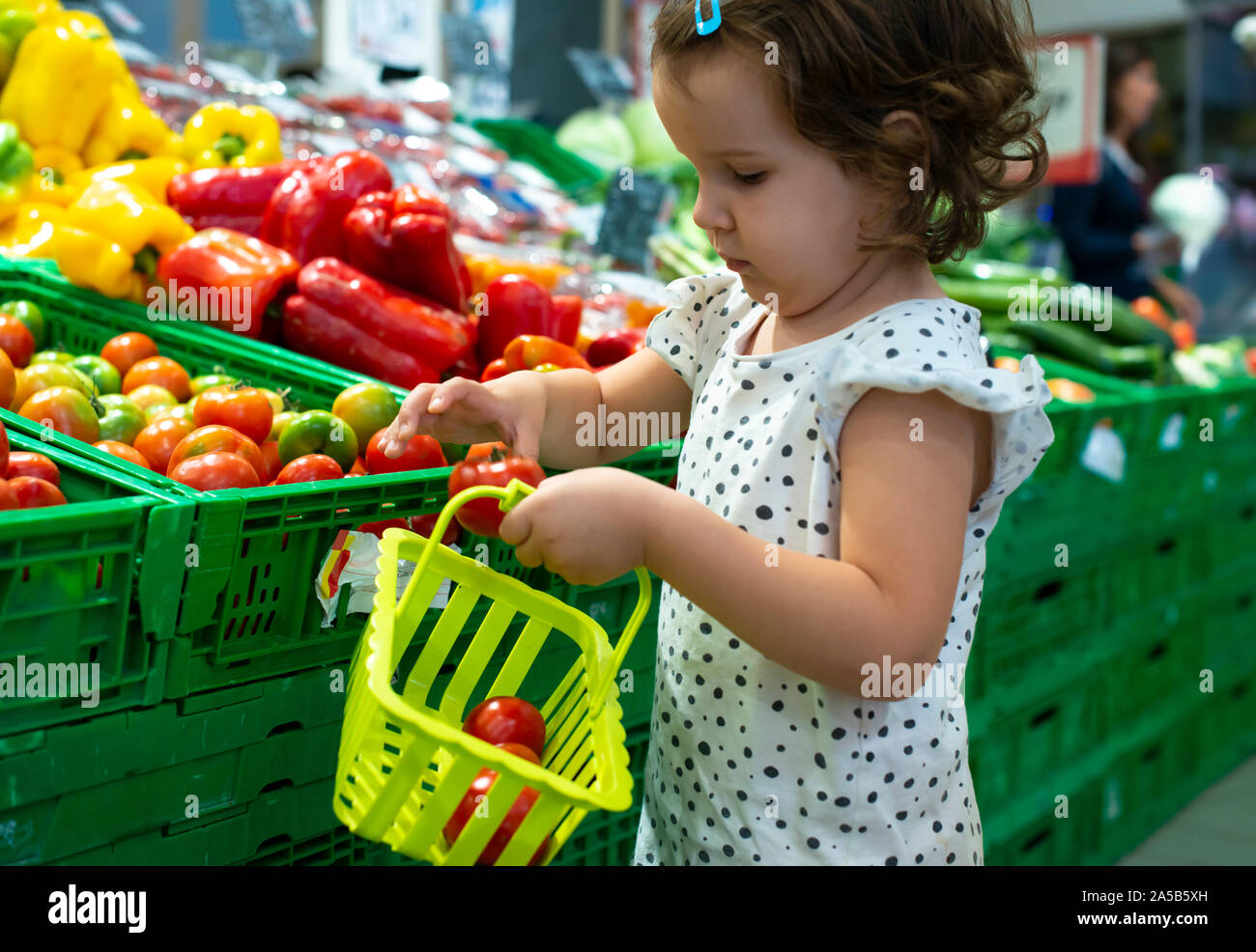 Little girl buying tomatoes in supermarket. Child hold small basket in supermarket and select vegetables. Concept for healthy eating for children. Stock Photo