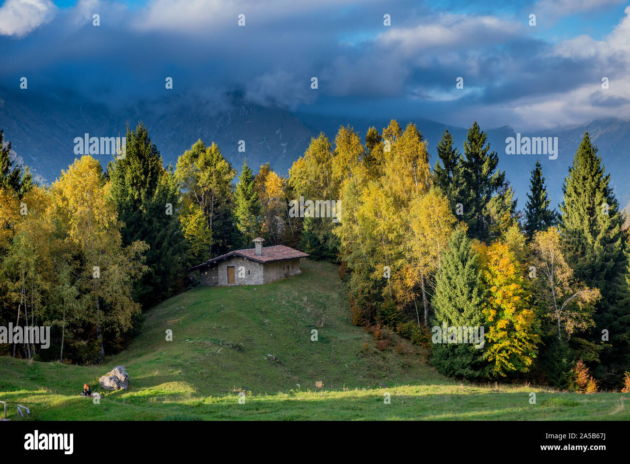 Pristine nature hi-res stock photography and images - Alamy