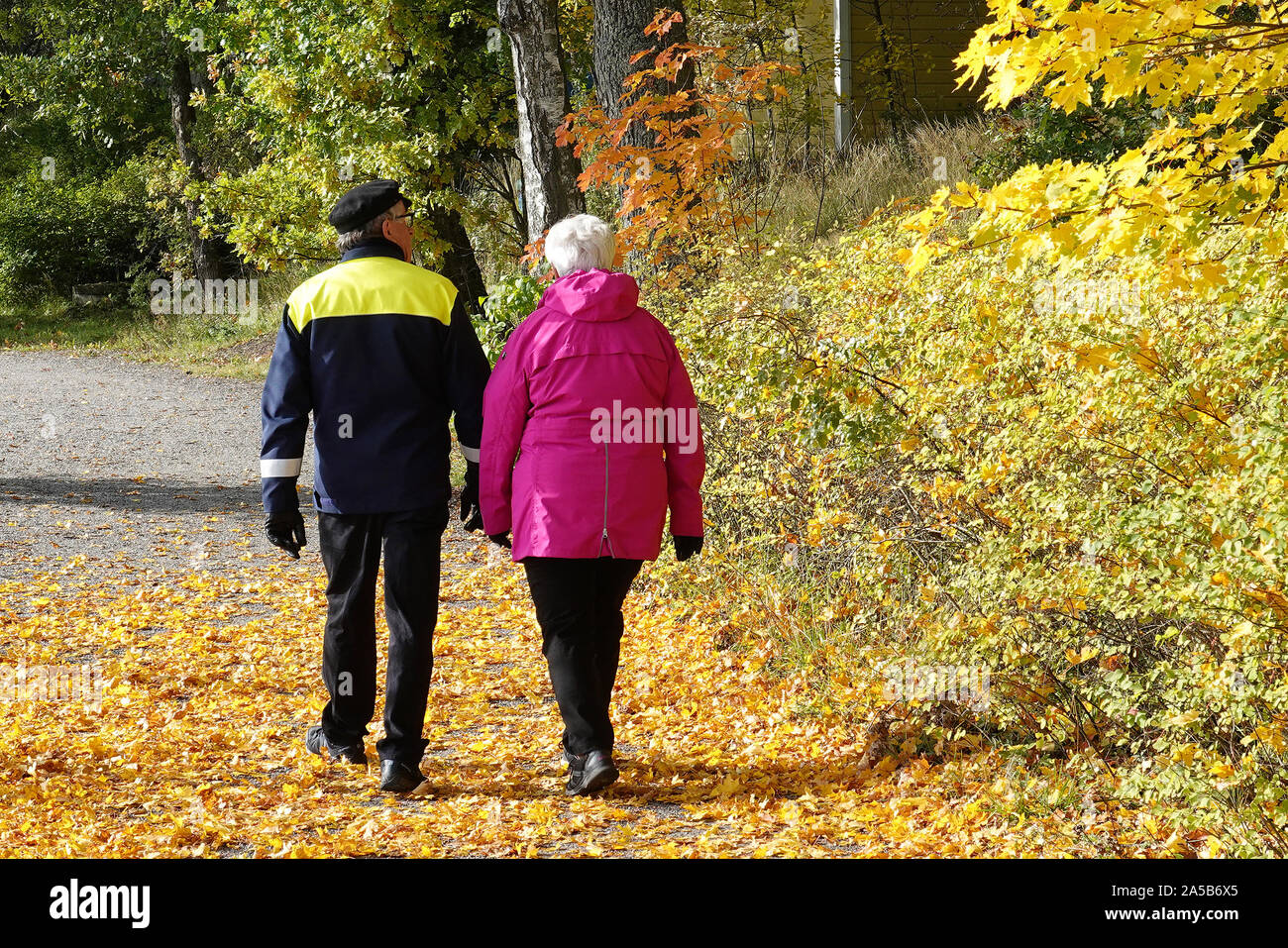 Turku, Finland - October 5, 2019: Older couple walking on path, tree has dropped leaves to walkway. Location: Ruissalo island Stock Photo