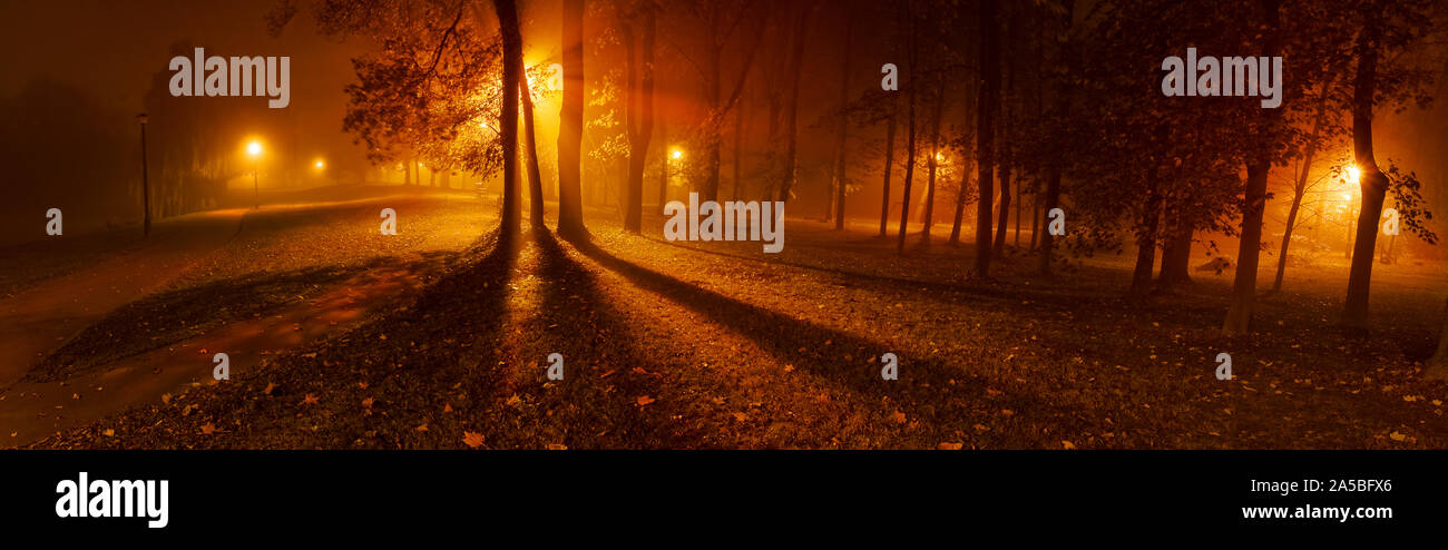 Foggy night park hi-res stock photography and images - Alamy