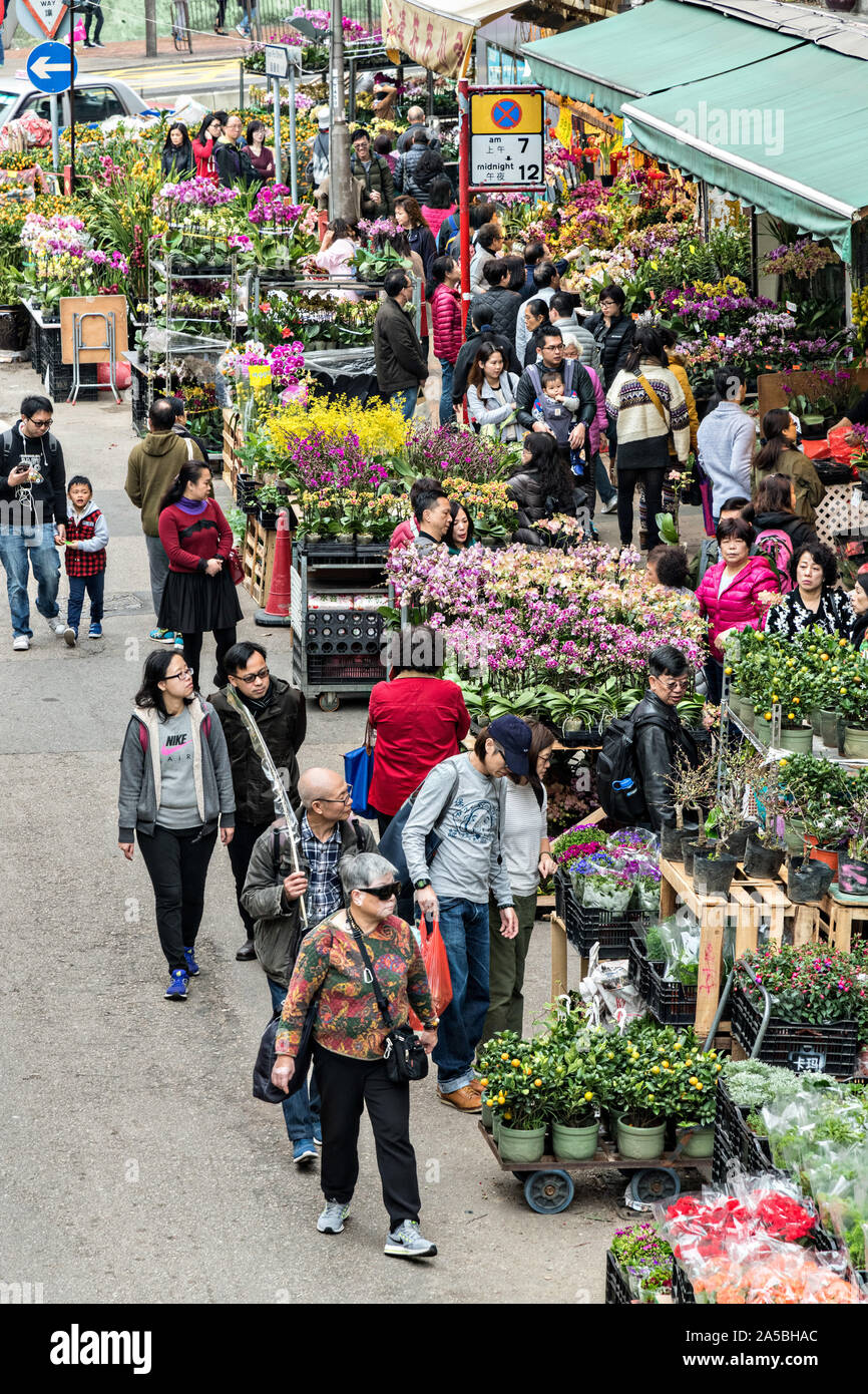 People shop for flowering plants in the Mong Kok Flower Market of Kowloon, Hong Kong Stock Photo
