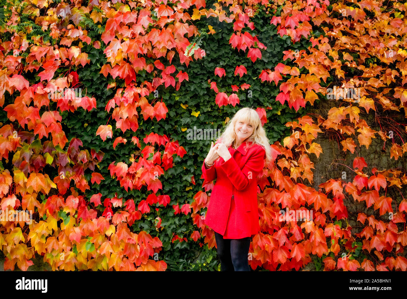 Woman enjoys Fall day as leaves put on a show of Autumn colour. Stock Photo