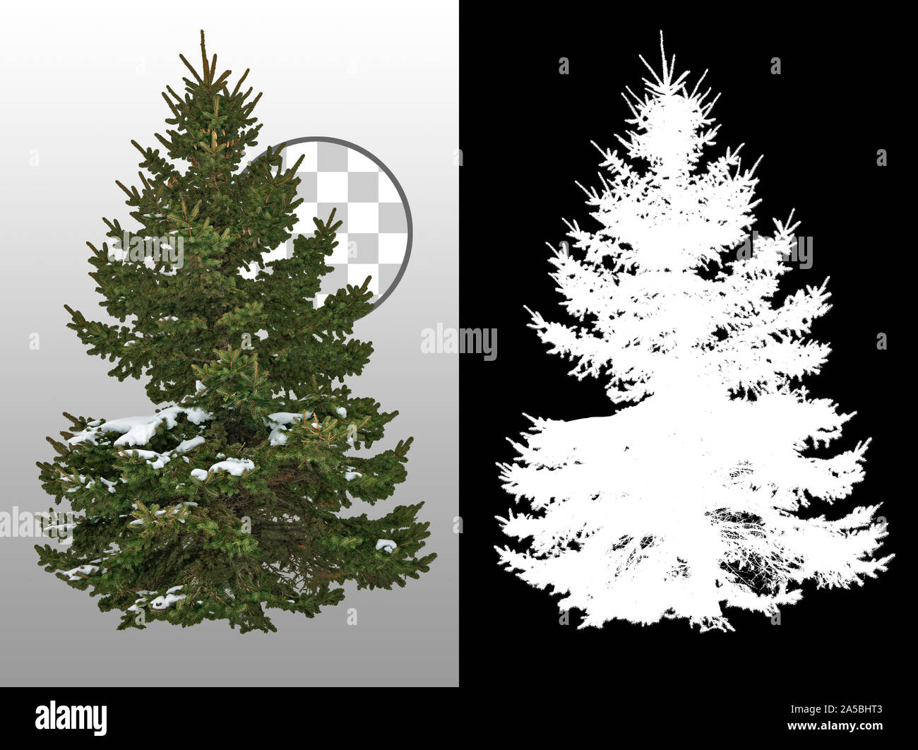 Cut out pine tree in winter. Snowy tree Snow covered fir tree in winter. Pine tree isolated on transparent background. Cutout coniferous. Stock Photo