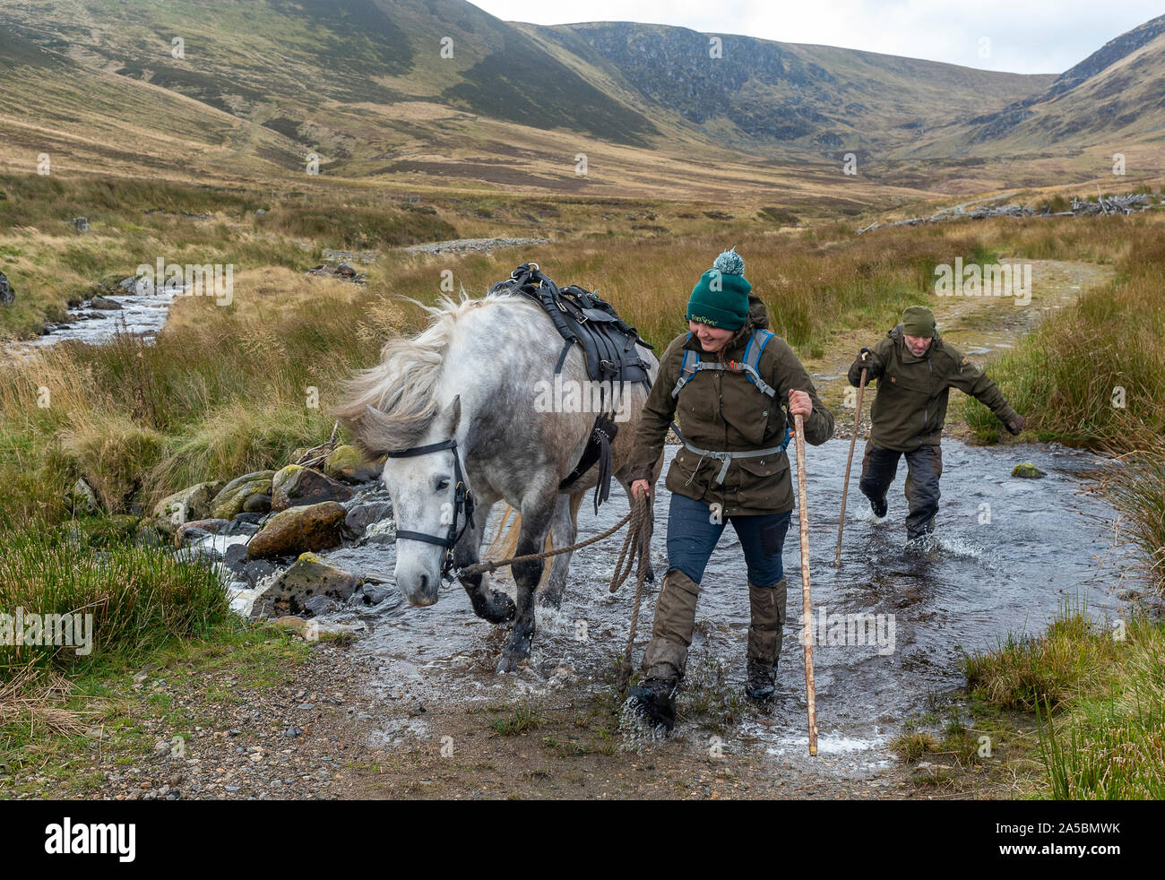 The Angus Glens, Scotland, UK.  19th October 2019.   On the last day of the Red Deer Stag season, deerstalker and ghillie, along with his trained Highland Ponies which are used to carry the deer off the hill, are high on The Angus Glens, in The Highlands of Scotland, looking for the last Red Deer Stags of the season.  Credit: Matt Limb OBE/Alamy Live News Stock Photo
