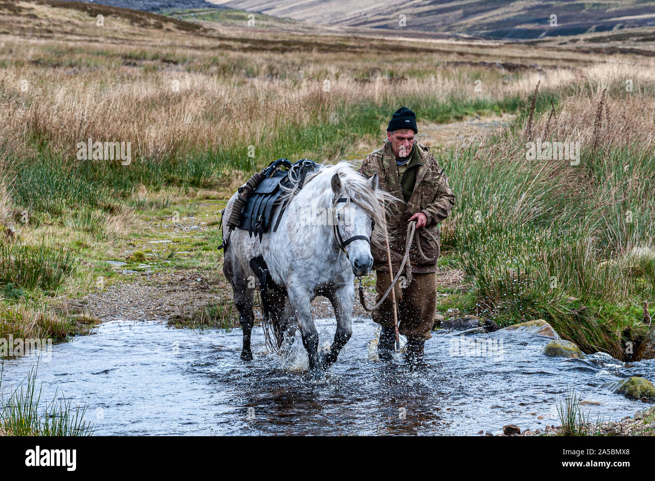 The Angus Glens, Scotland, UK.  19th October 2019.   On the last day of the Red Deer Stag season, deerstalker and ghillie, along with his trained Highland Ponies which are used to carry the deer off the hill, are high on The Angus Glens, in The Highlands of Scotland, looking for the last Red Deer Stags of the season.  Credit: Matt Limb OBE/Alamy Live News Stock Photo