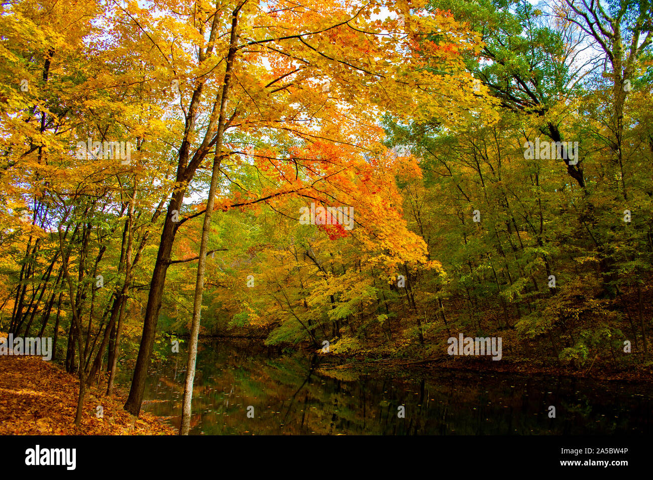 Autumn River Scene in Park Stock Photo