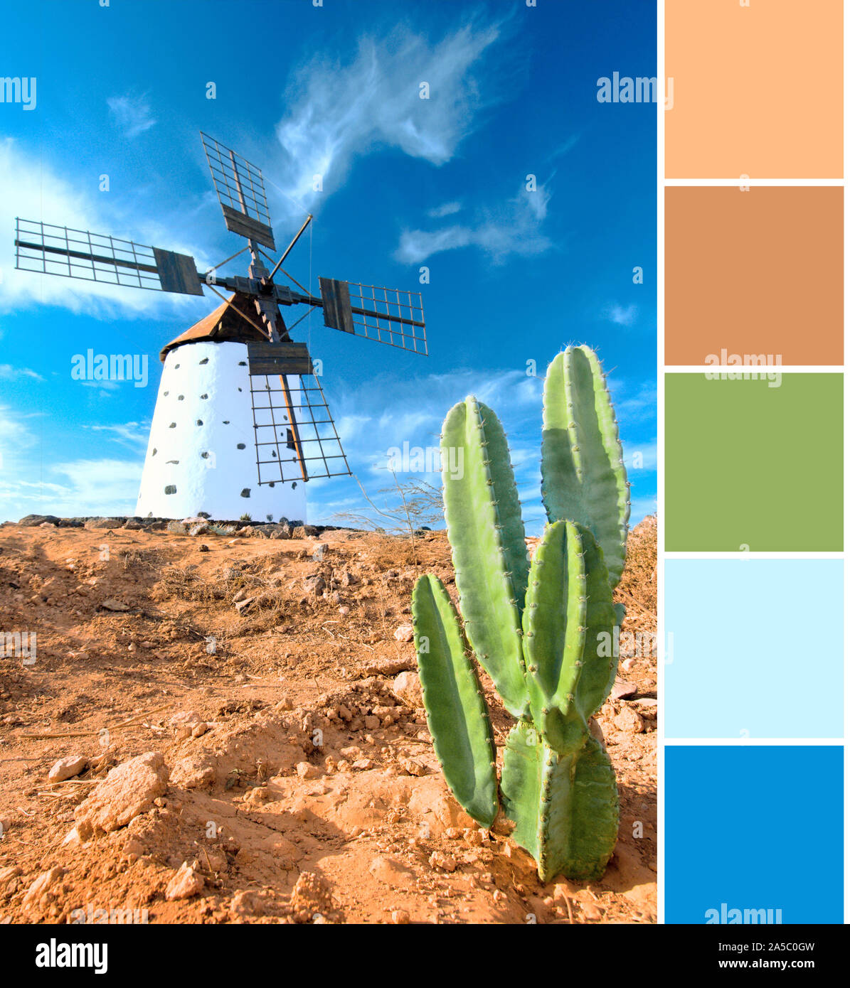 Color matching complementary palette from travel image of wild cactus and traditional windmill on Fuerteventura, Canary islands, Spain Stock Photo