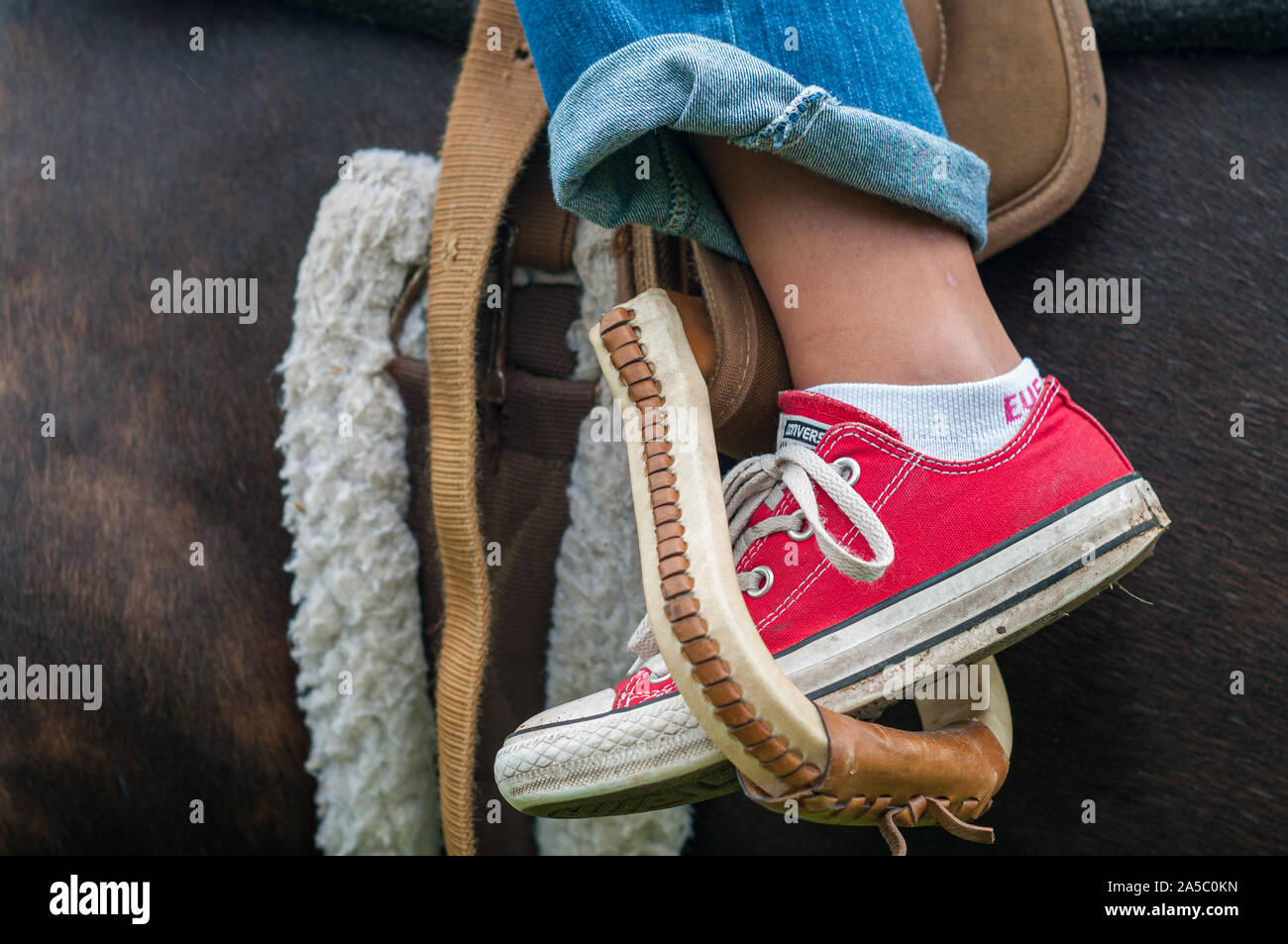 Girl's foot wearing iconic sneaker in horse stirrup. Stock Photo
