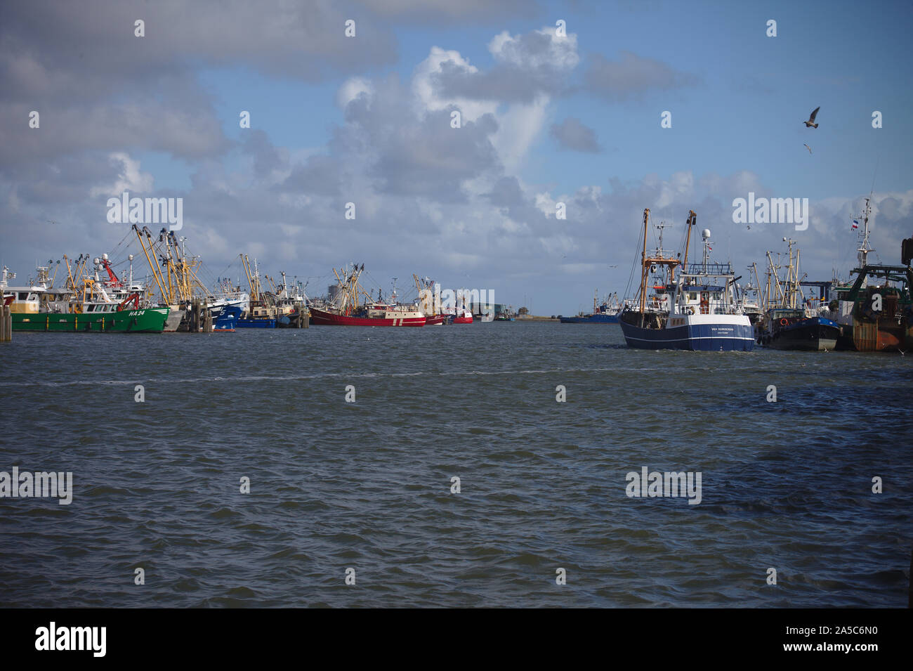 Trawlers in harbour. Netherlands Stock Photo