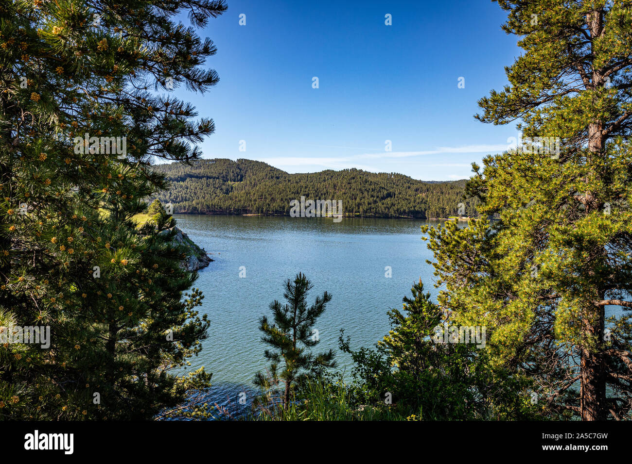 Pactola Lake is the largest reservoir in the Black Hills of South