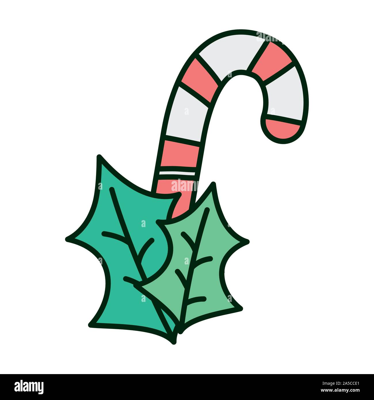 candy cane and leaves celebration merry christmas vector illustration