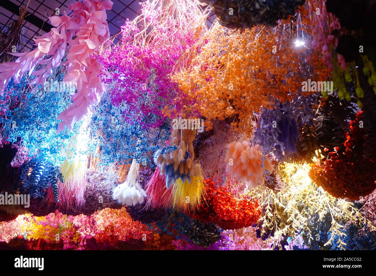 Hanging clusters hires stock photography and images Alamy