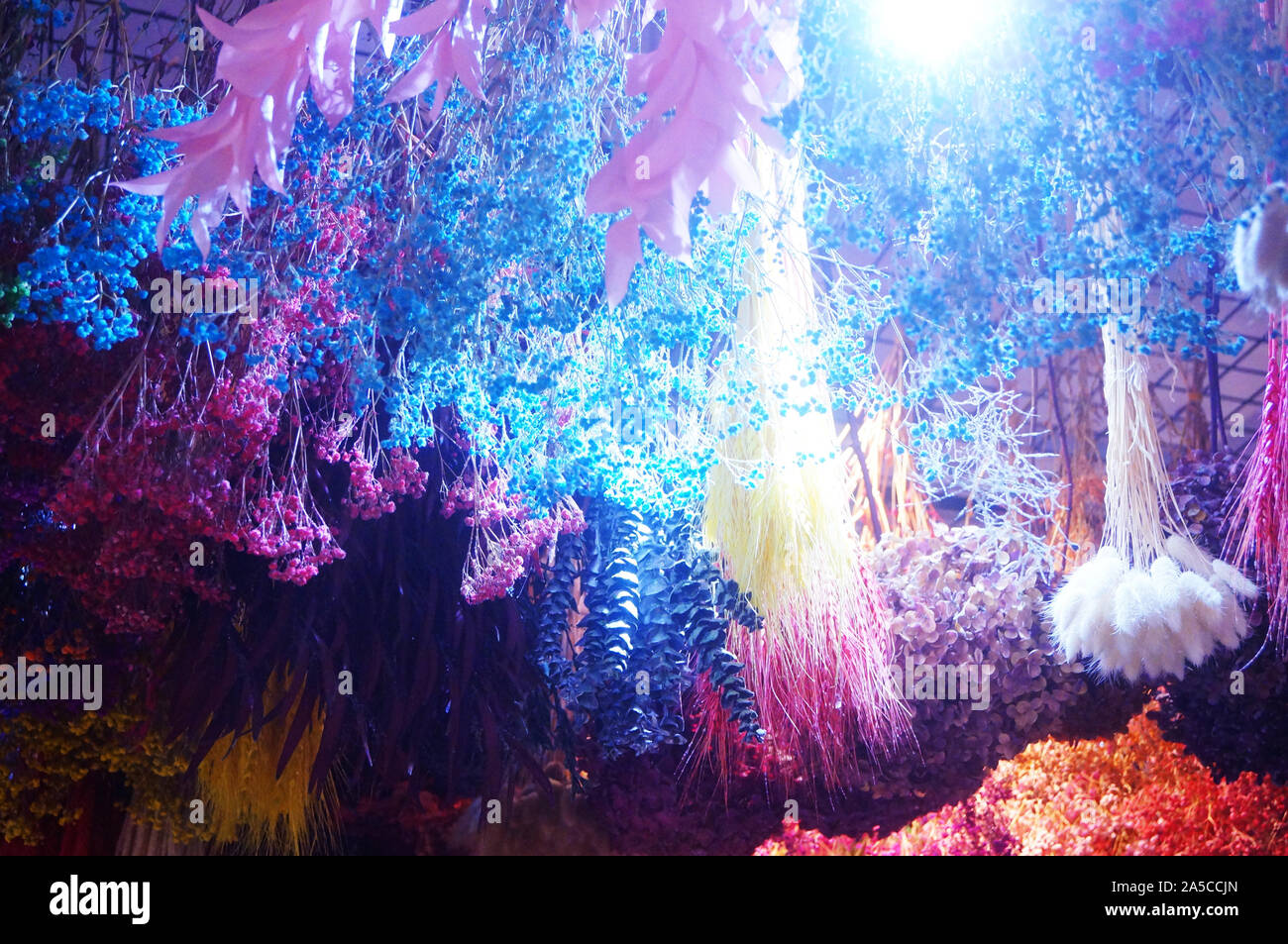 Hanging clusters of dry flowers form a beautiful decorative landscape