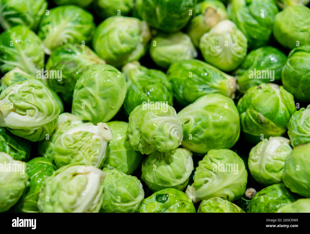 Raw Brussels Sprouts in Open Container in farmers market Stock Photo