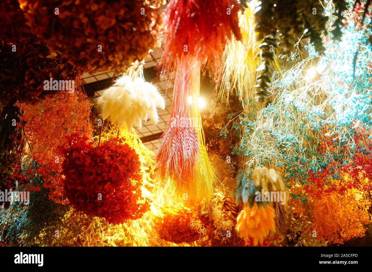 Hanging clusters of dry flowers form a beautiful decorative landscape