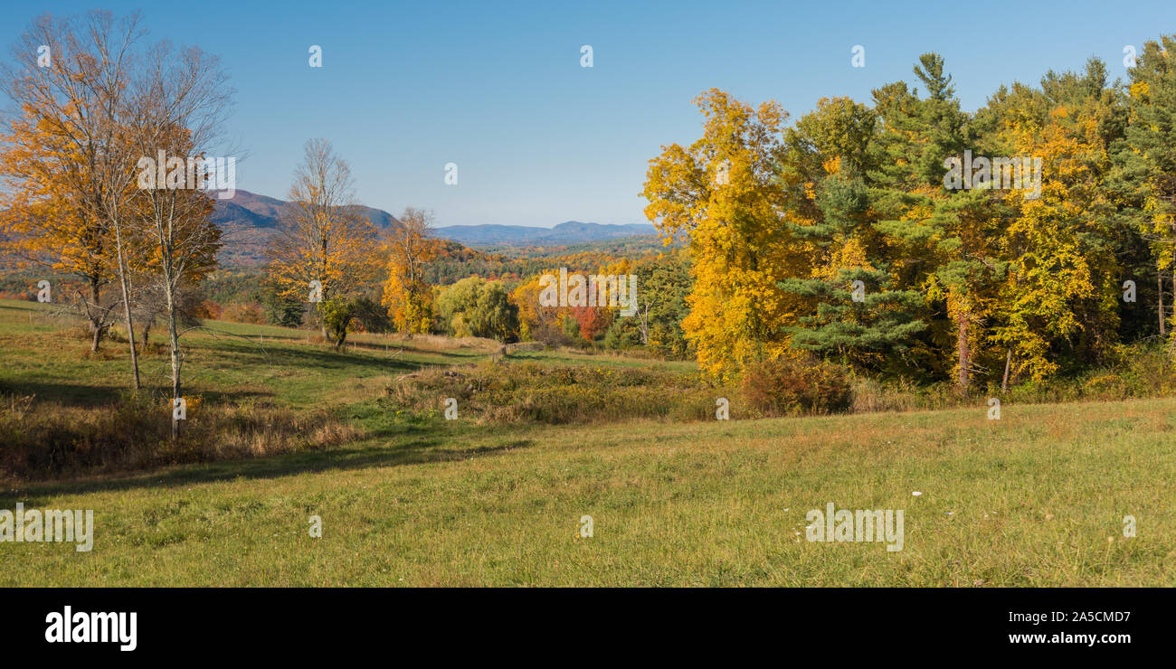 Beautiful color of autumn foliage in forest in New England, USA Stock Photo