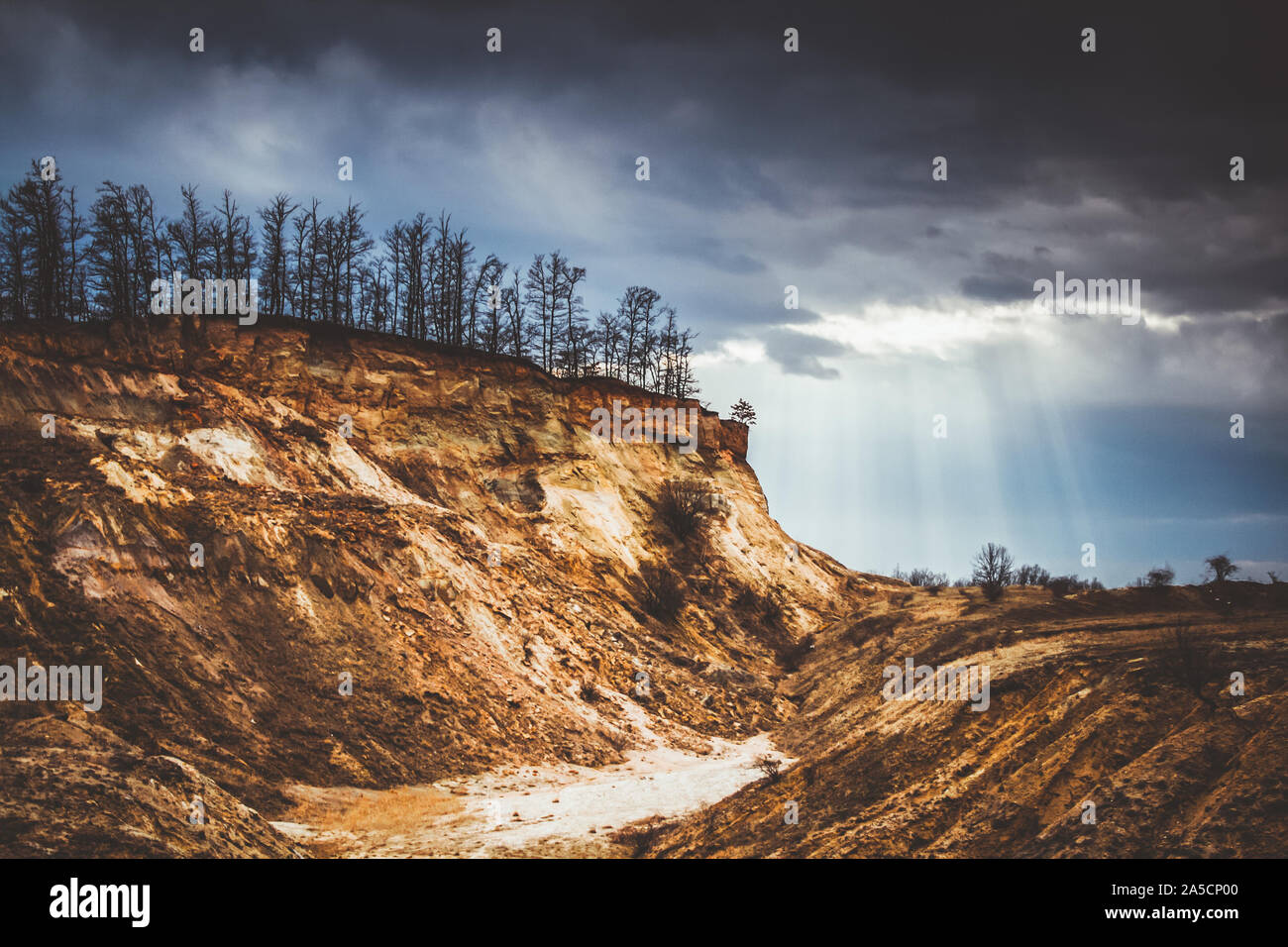 dried cracked landslide and dead trees global warming climate change Stock Photo