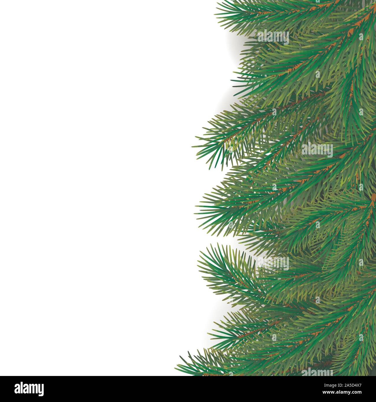 Fir tree border background. Christmas tree brancher. Realistic New Year