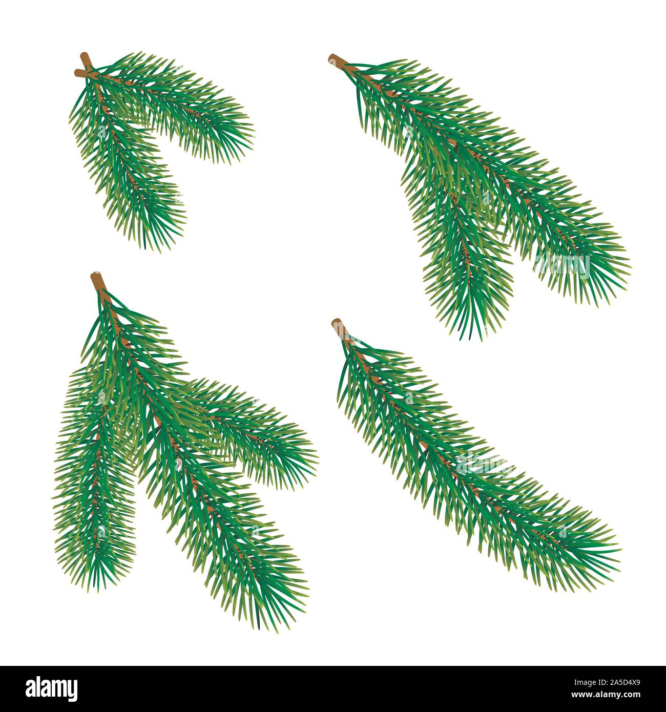 Green fir branch isolated on white background. Traditional Christmas evergreen tree decoration element. Vector Stock Vector