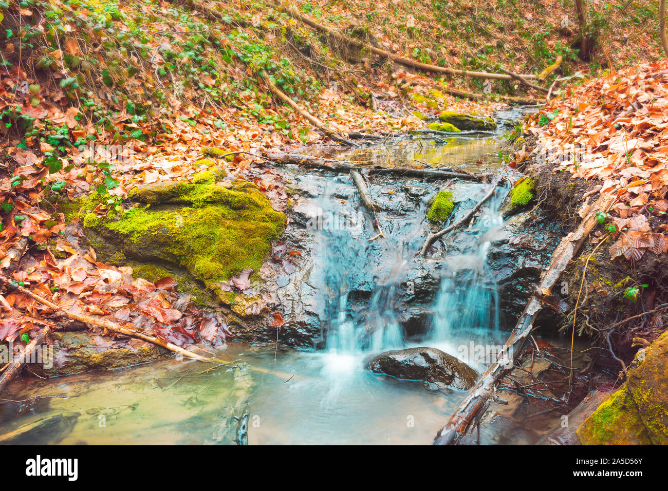Water over waterfall fallen tree hi-res stock photography and images ...