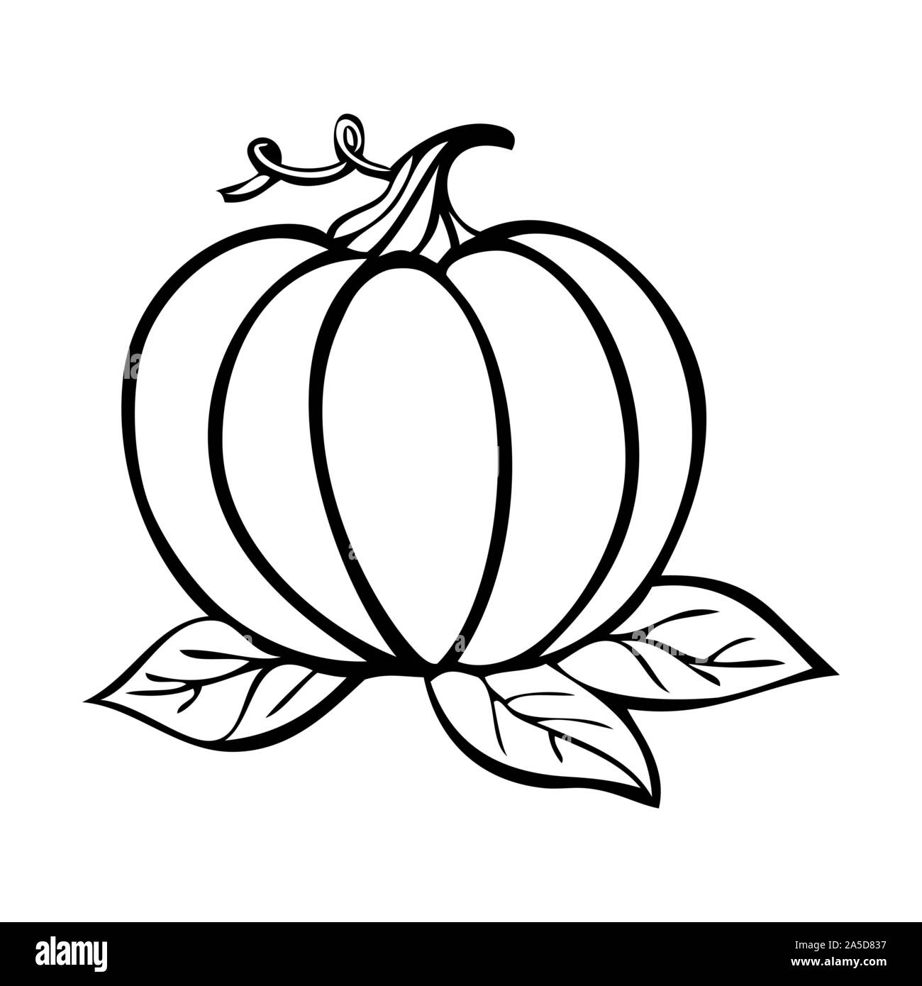 Black and white vector illustration of a pumpkin Stock Vector Image ...