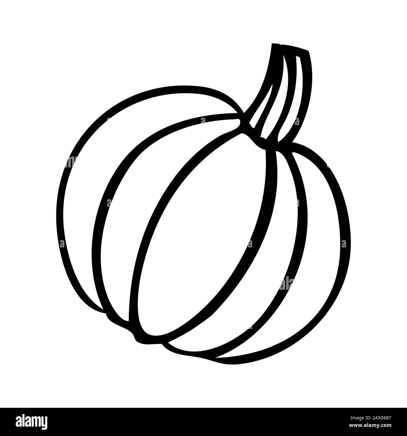 Black and white vector illustration of a pumpkin Stock Vector Image ...
