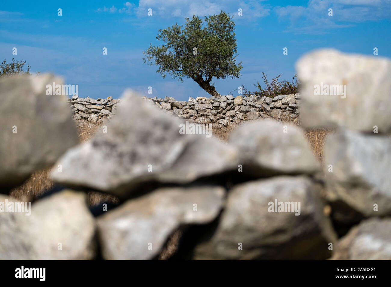 Traditional stone wall made with rocks Stock Photo