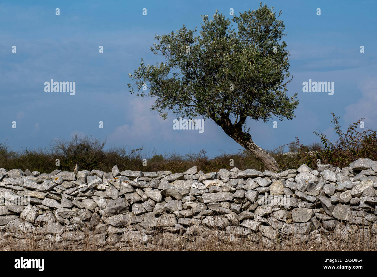 Traditional stone wall made with rocks Stock Photo