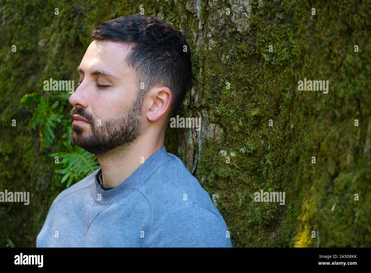 Young man with eyes closed leaning on a tree with eyes closed during a forest bathing session Stock Photo