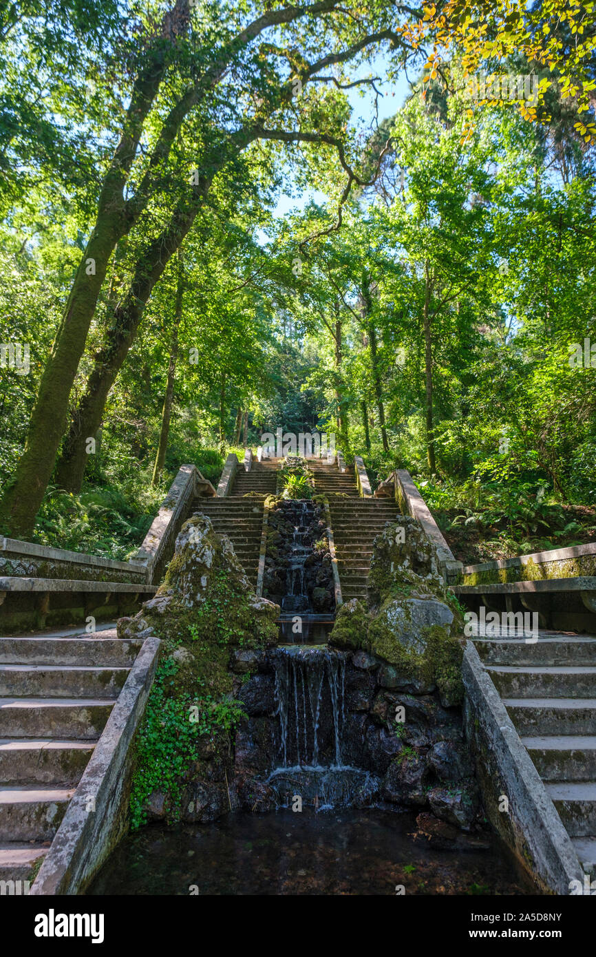 Stairs and man-made waterfall at the Mata do Bussaco park woods in Luso, Portugal, Europe Stock Photo
