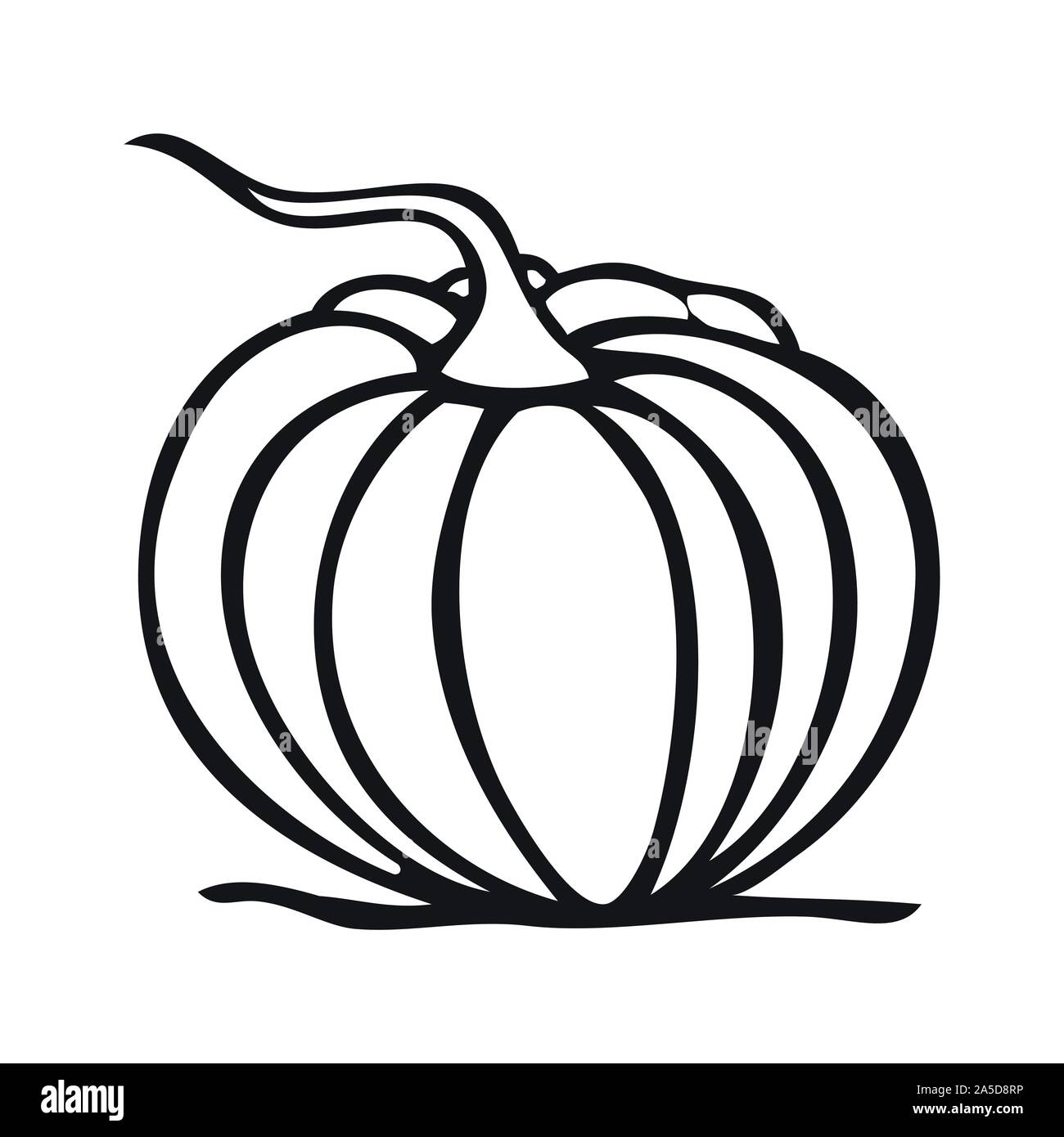 Black and white vector illustration of a pumpkin Stock Vector Image ...