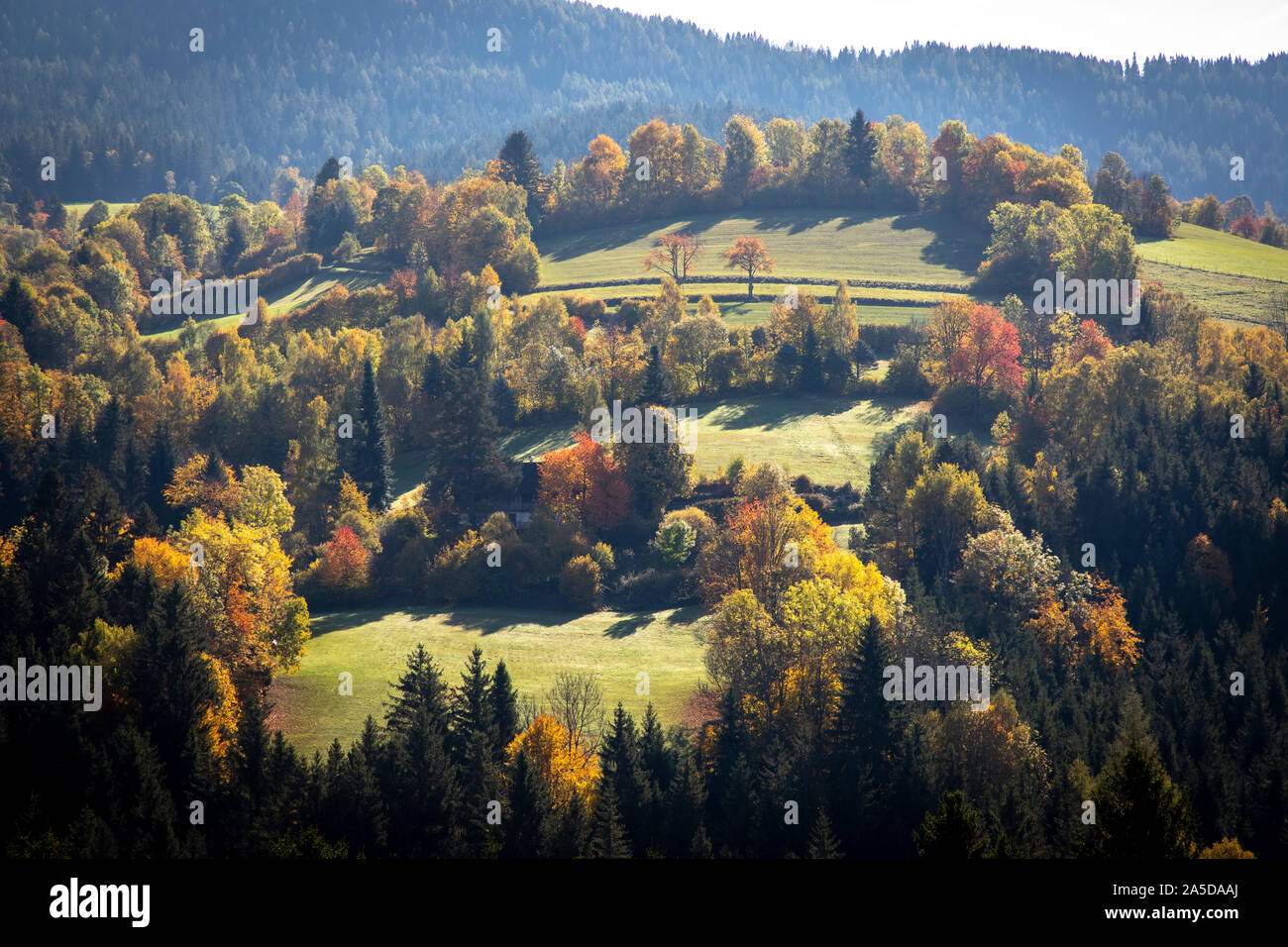 Styrian tree hi-res stock photography and images - Alamy
