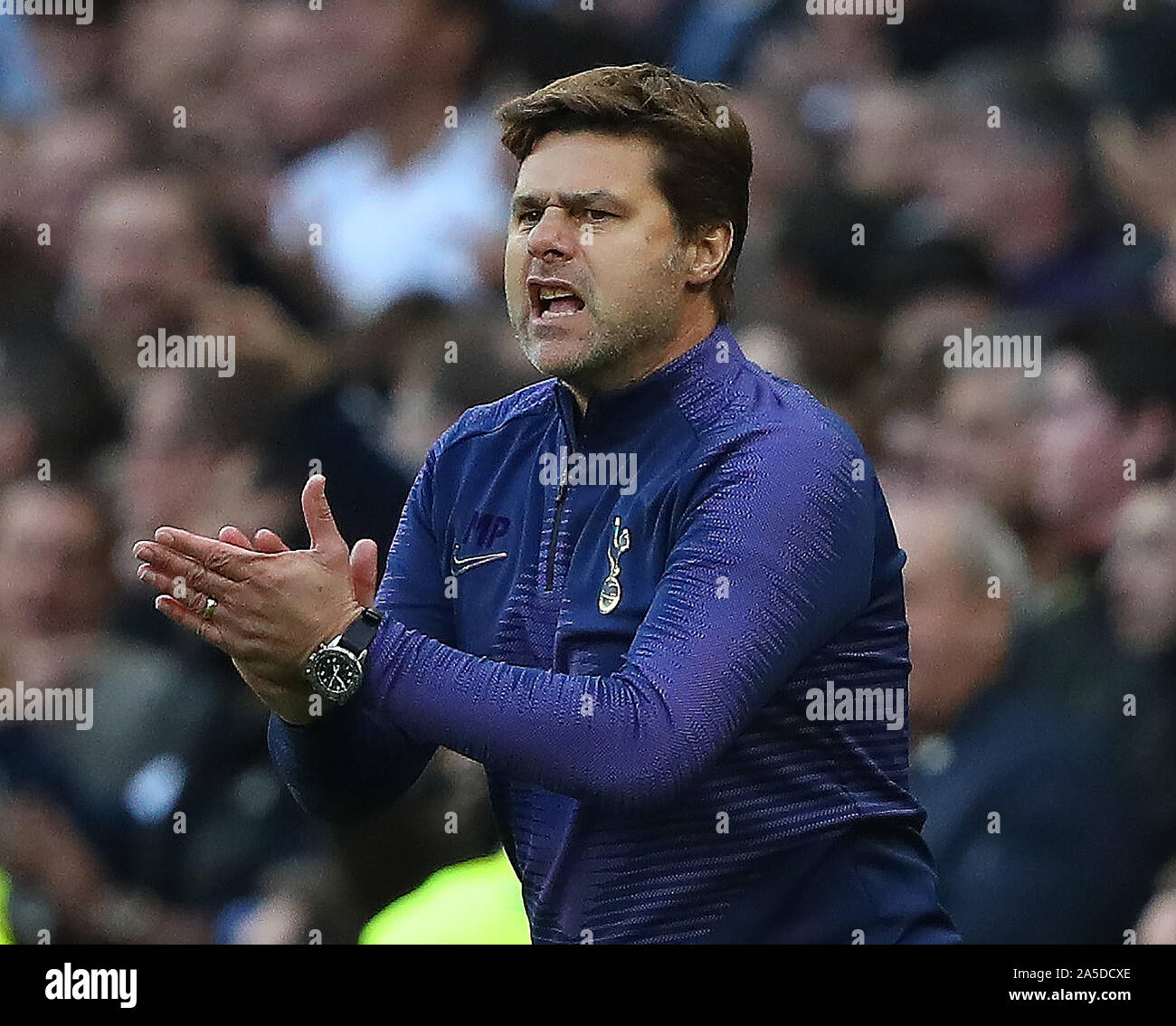 Mauricio Pochettino Head Coach of Tottenham during the Barclays Premier  League match between Tottenham Hotspur and Watford, at Tottenham Hotspur  Stadi Stock Photo - Alamy