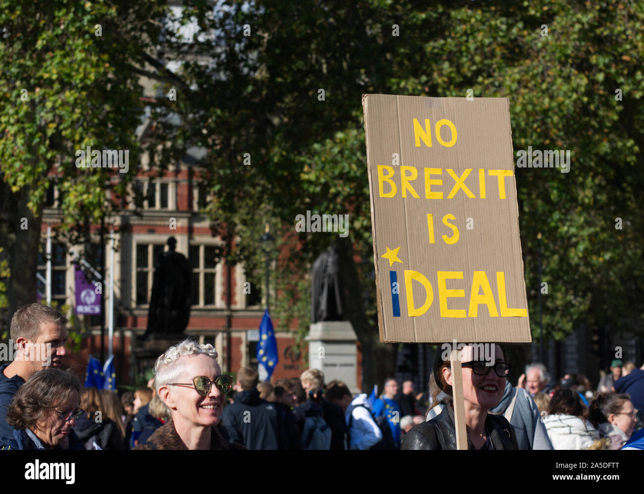 Brexit Protesters in London UK 2019 Stock Photo
