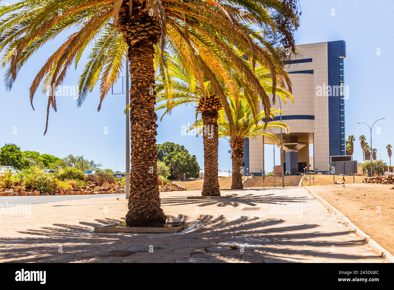 Rows of palm trees and modern building on the central street of Windhoek, Namibia Stock Photo