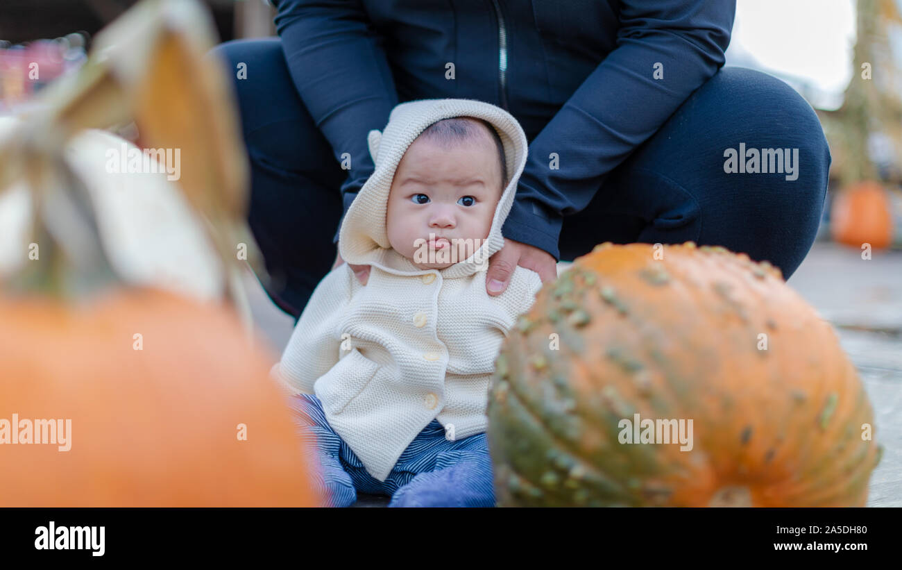 Portrait of a baby boy outdoors in a pumpkin patch for Halloween Stock Photo