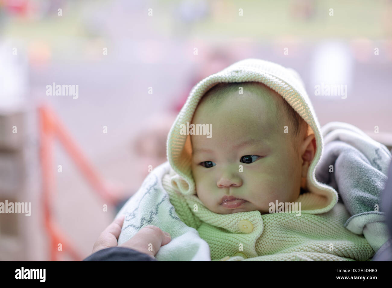 Close-up of asian baby boy wearing a ivory sweater in dad's arms, outdoors Stock Photo