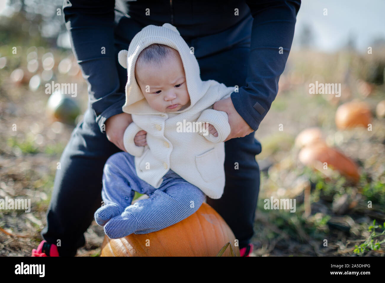 Portrait of a baby boy outdoors in a pumpkin patch for Halloween Stock Photo