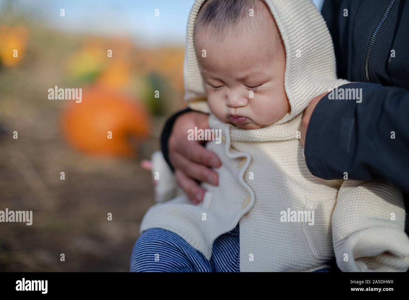 Portrait of adorable 4 months baby boy in the autumn season, outdoors Stock Photo
