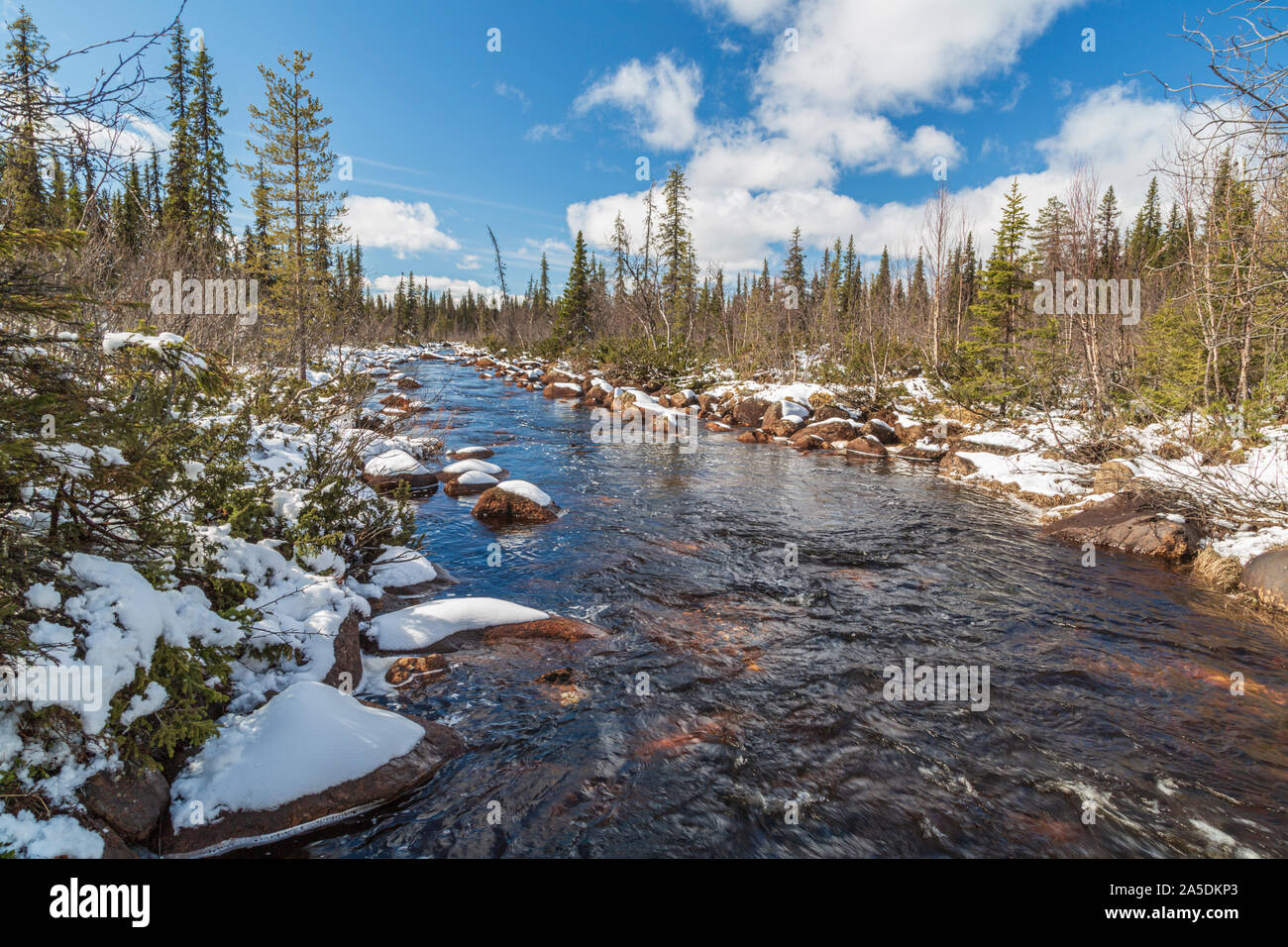 Muddus jokk in springtime with running water, snow on the side, spruce and birch trees around, Gällivare county, Swedish Lapland, Sweden Stock Photo
