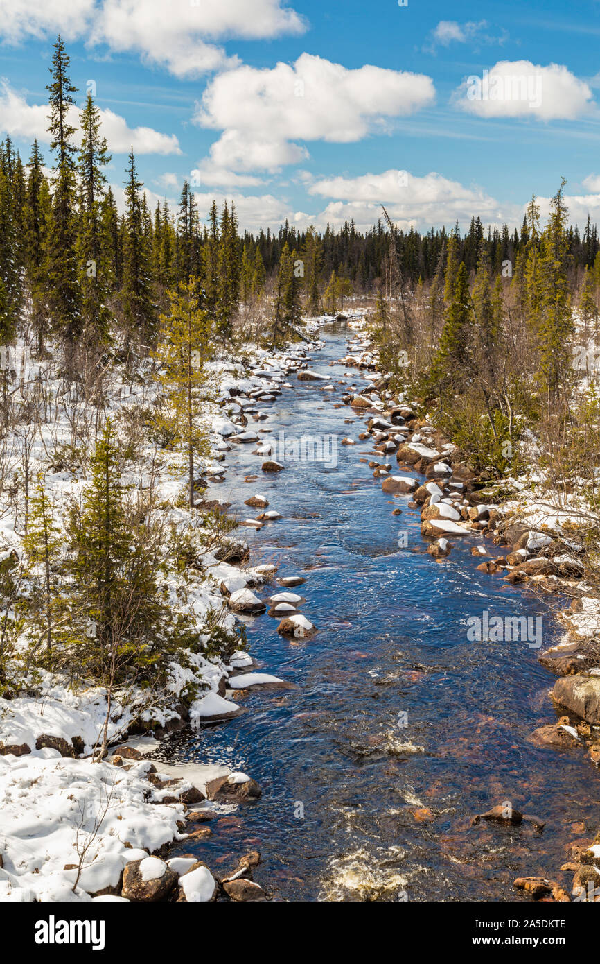 Muddus jokk in springtime with running water, snow on the side, spruce and birch trees around, Gällivare county, Swedish Lapland, Sweden Stock Photo