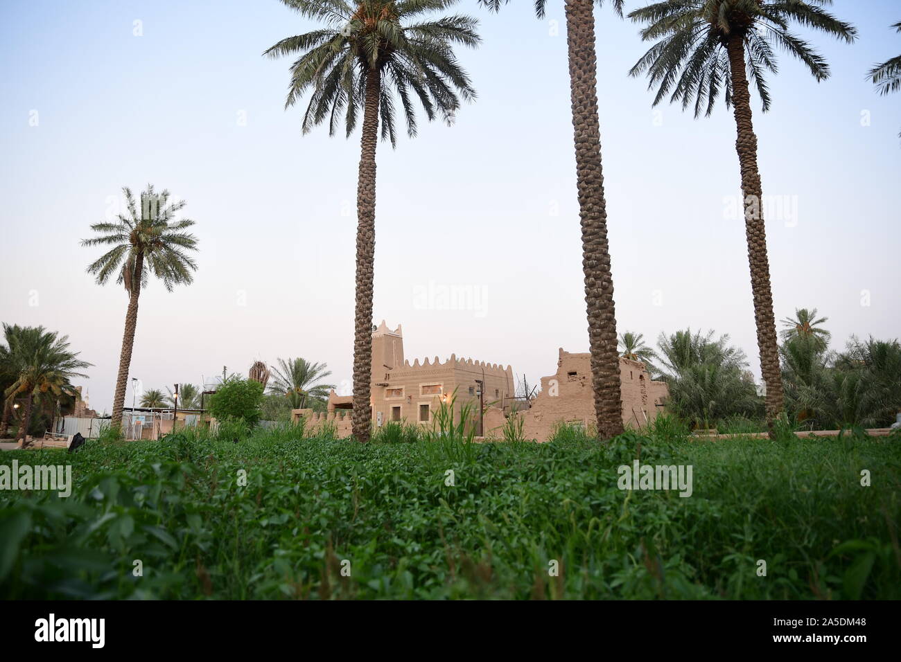 beautiful-farm-in-saudi-arabia-stock-photo-alamy